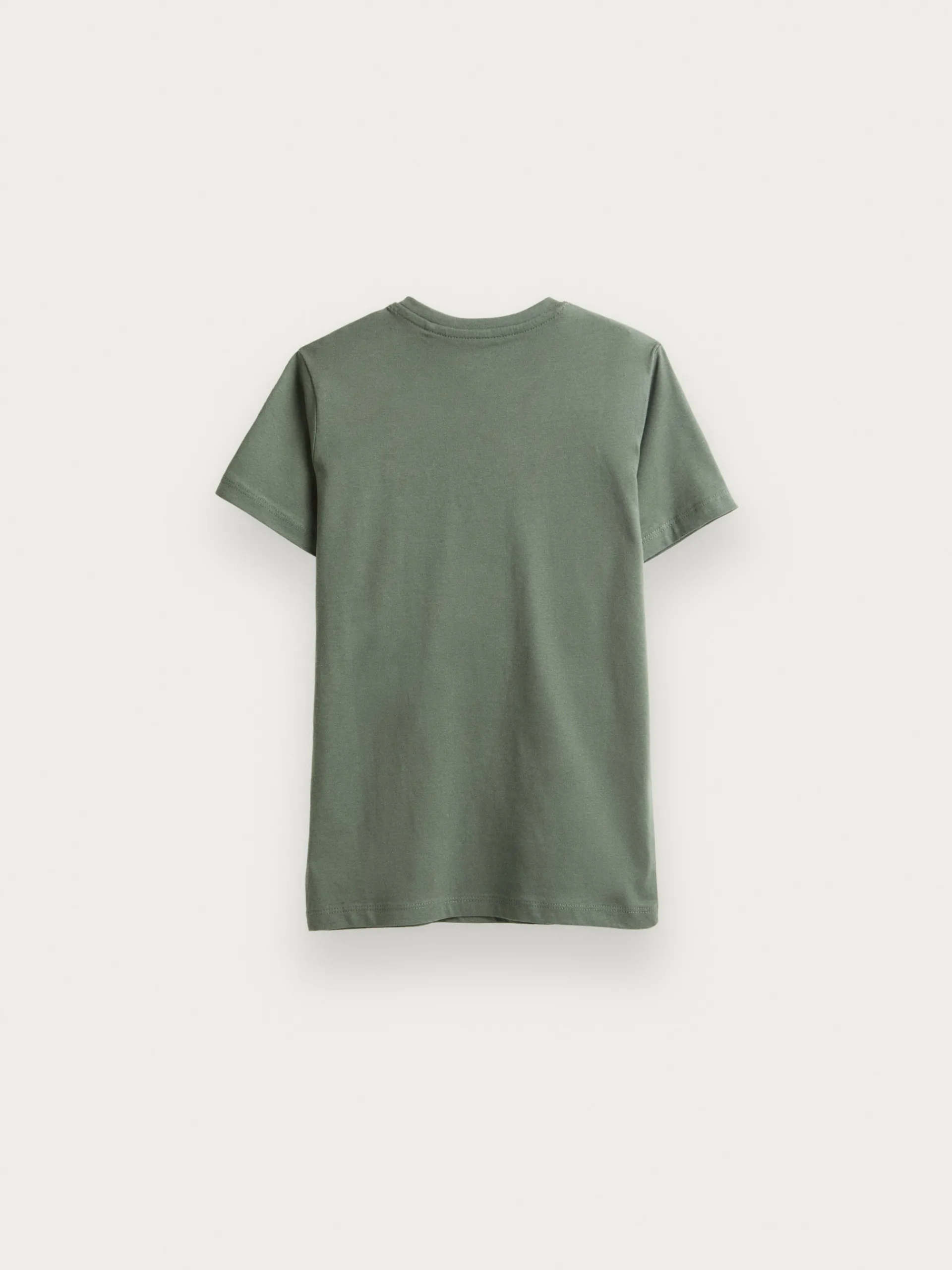 Camisetas-Alvaro Moreno CAMISETA BASICA KIDS Verde