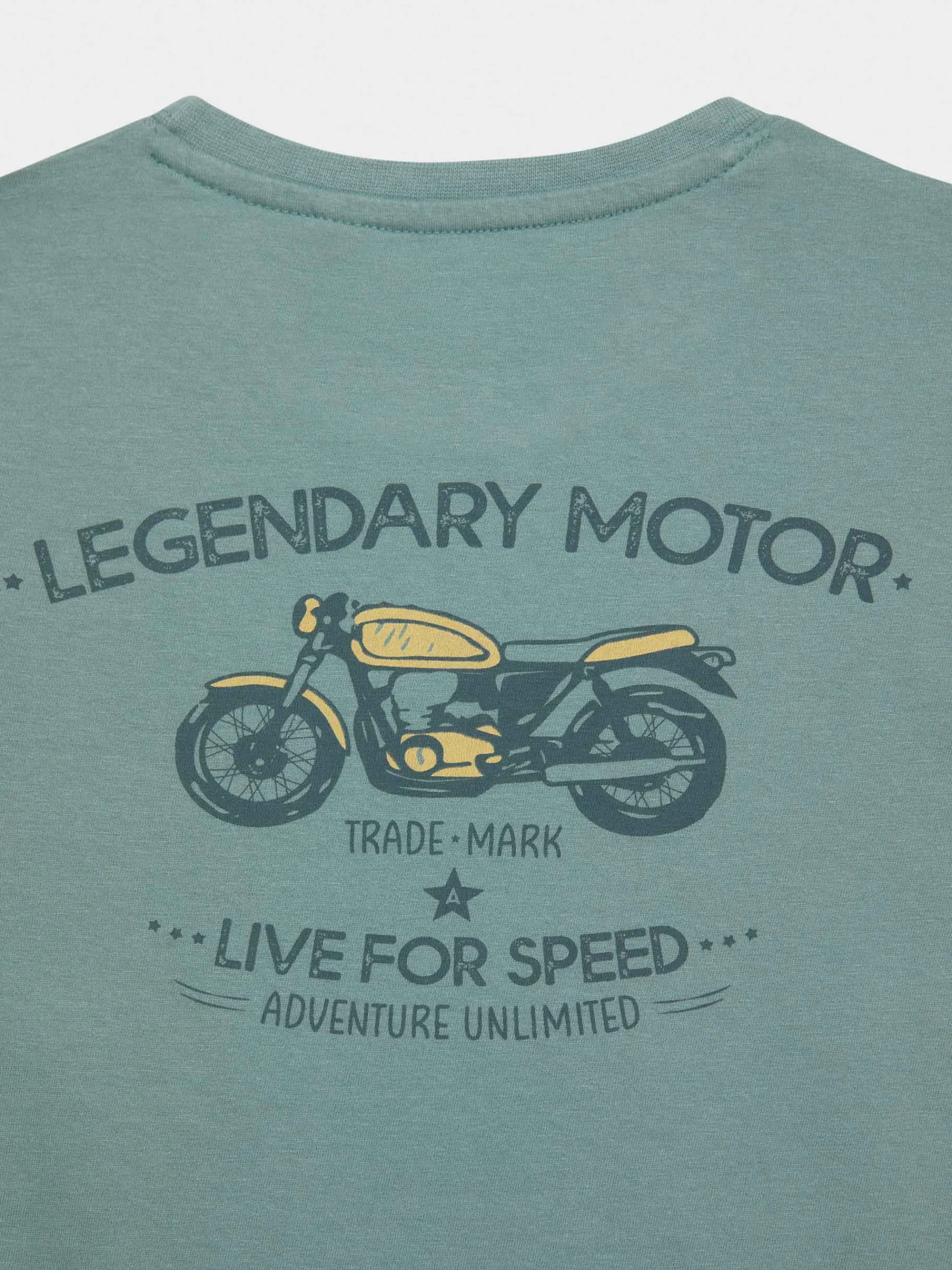 Camisetas-Alvaro Moreno CAMISETA MOTOR KIDS Verde