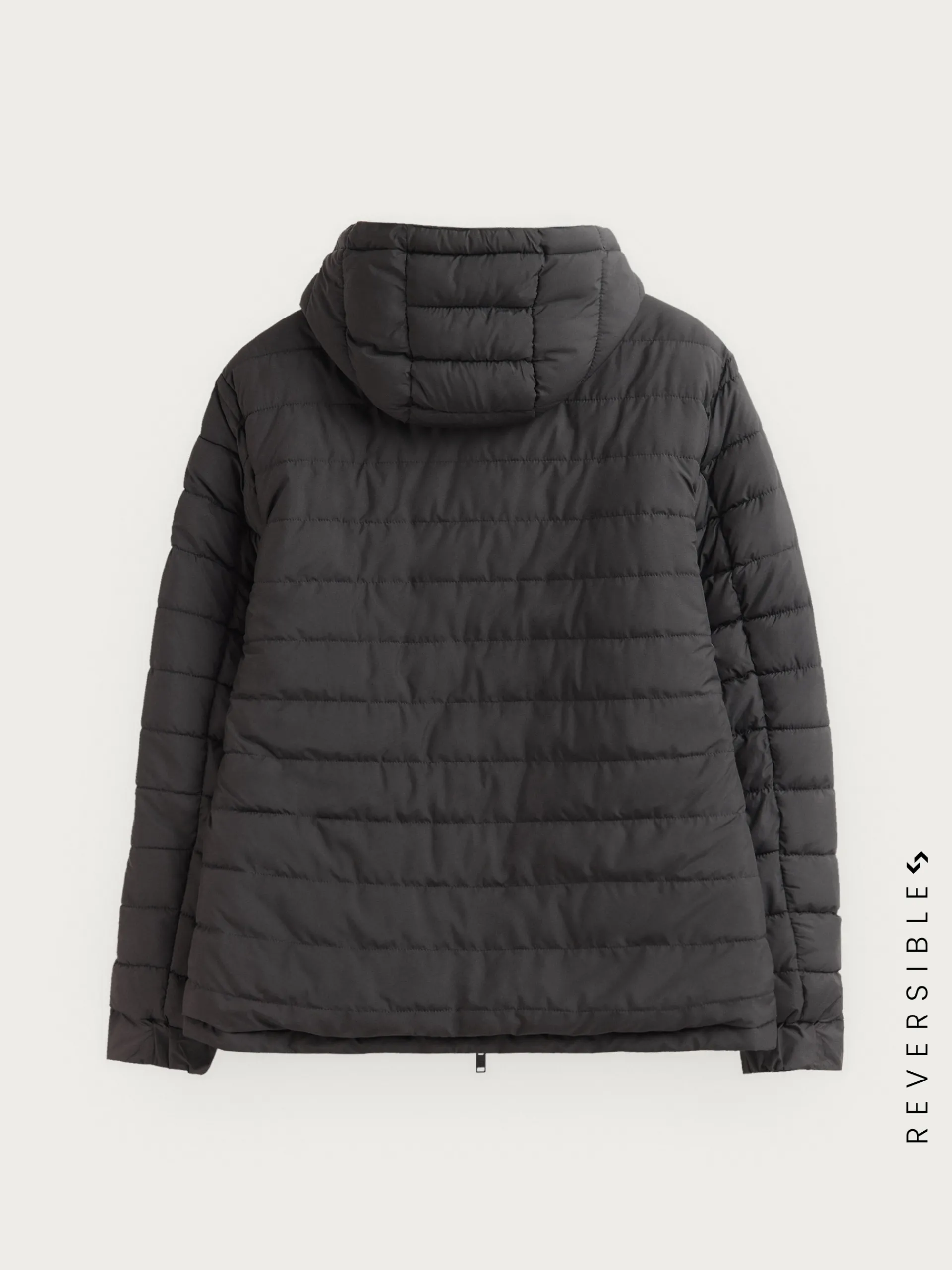 Cazadoras Y Parkas-Alvaro Moreno CAZADORA RATCHED REVERSIBLE | MARRÓN Azul Marino
