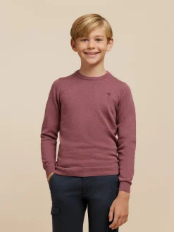 Jerséis-Alvaro Moreno JERSEY ROUND NECK KIDS Violeta