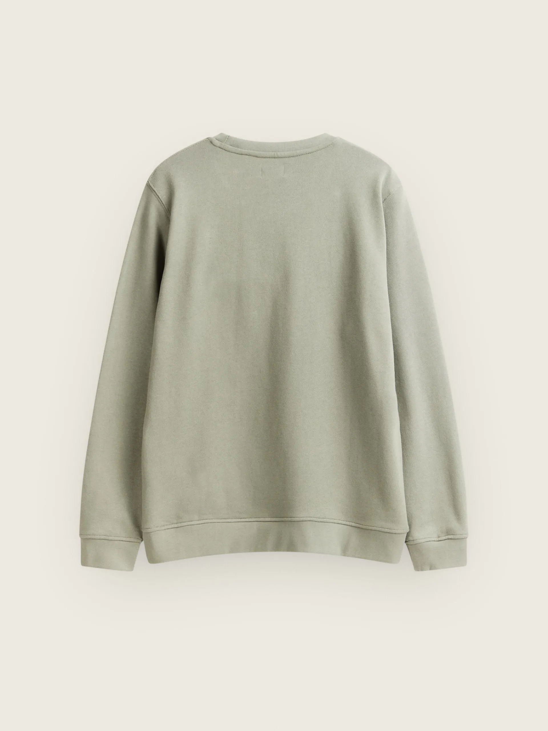 Sudaderas-Alvaro Moreno SUDADERA SINGULAR Verde